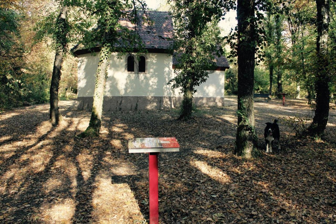 Gites D'Illfurth Exterior photo